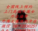 全国高端公寓品茶-专注商界老板-职场精英-成功人士群体-外围大圈预约平台